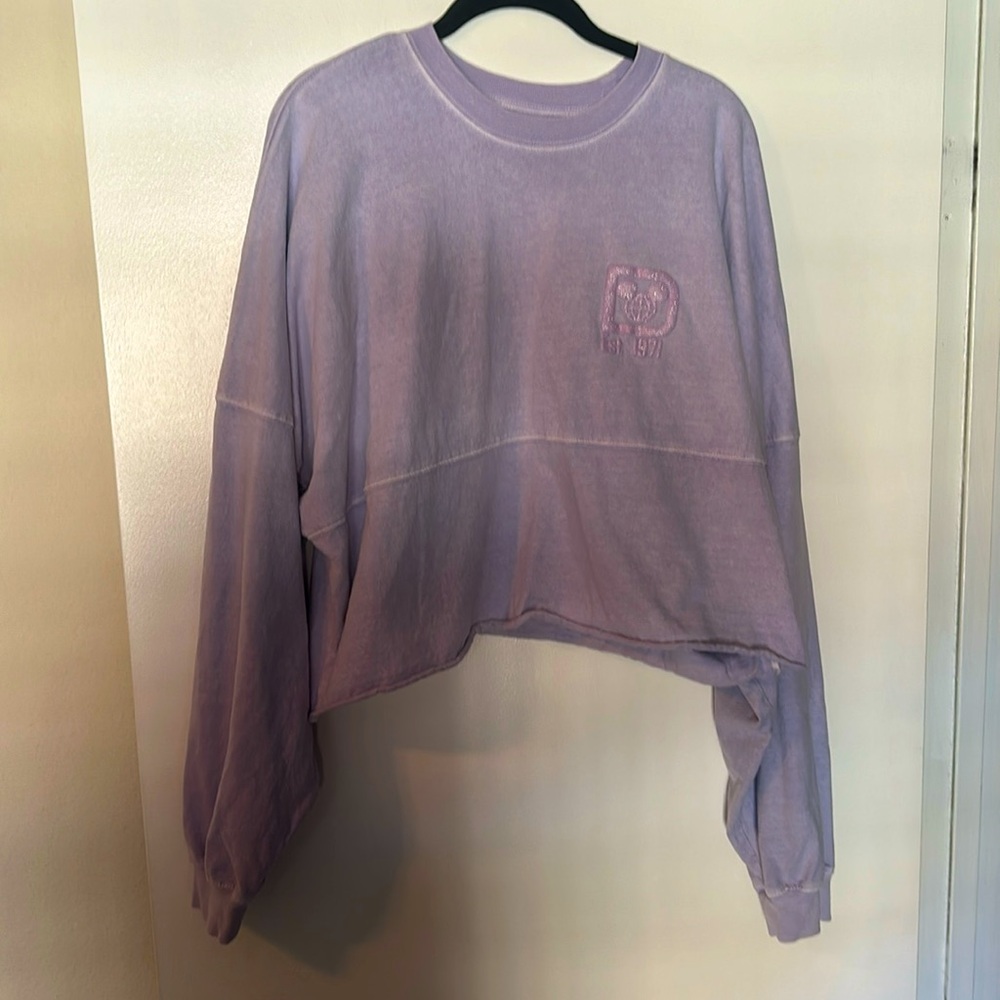 Walt Disney World spirit jersey **cropped** XL